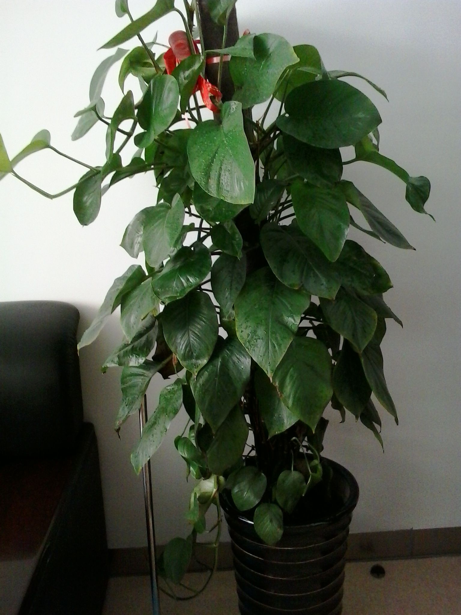 杭州装修预算装修案例,装修预算装修,杭州装修预算装修 杭州装修预算装修案例,装修预算装修,杭州装修预算装修